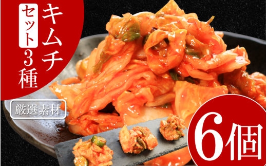 キムチ 3種 セット 各2個ずつ 計6個 本格キムチ カッパキムチ 白菜キムチ きゅうりキムチ ピリ辛 おつまみ 食物繊維たっぷり 韓国 乳酸菌 健康 ご飯 お供 旨味 国産野菜 キムチ鍋用 韓国料理 漬物 発酵食品 ダイエット 低カロリー ビビンバ 焼肉 キムチ鍋 鍋 炒め物 料理 徳島県 吉野川市
