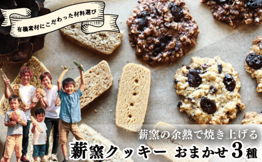 【こだわり有機素材を使用】 薪窯の余熱で焼き上げる 薪窯 クッキー おまかせ 3種 ～食べられない食材がある方にもおすすめ、滋味いっぱいのおやつ～ 有機 オートミール 北海道産有機小麦粉  太白 ごま油 カカオ 全粒粉 小麦 レーズン クルミ カシューナッツ 詰め合わせ オーガニック 手作り 朝ごはん おやつ 徳島県 吉野川市