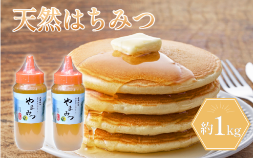 はちみつ 530g×2本 約1kg ボトルタイプ  国産 蜂蜜 ギフト プレゼント 個包装 無添加 無農薬 健康食品 山都物語 おすすめ
