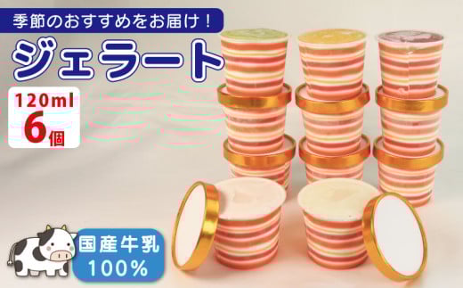 ジェラート 詰め合わせ 120ml 選べる 個数 6個 冷凍 フルーツ ギフト プレゼント 贈答 お取り寄せ グルメ 季節限定 冷凍 徳島県 吉野川市 株式会社マイスター社
