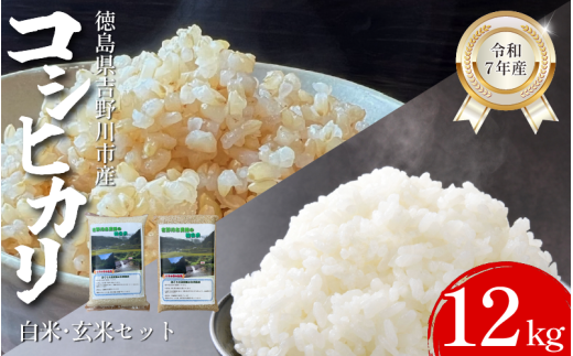 【先行予約】令和7年産 米 選べる 容量 12kg (玄米2㎏×3袋、白米2㎏×3袋) コシヒカリ 令和7年度産 玄米 白米 セット 小分け 便利 お米 こめ 棚田米 白米 精米 ごはん ご飯 白飯 ゴハン 徳島県 吉野川市