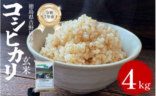 【先行予約】令和7年産 米 玄米 選べる 容量 4kg (2㎏×2袋) コシヒカリ 令和7年度産 玄米 1袋2kg 小分け 便利 お米 こめ 棚田米 白米 精米 ごはん ご飯 白飯 ゴハン 徳島県 吉野川市