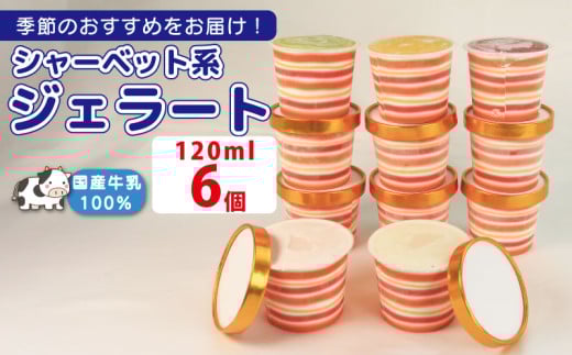 ジェラート 詰め合わせ 120ml 選べる 個数 6個 シャーベット系 のみ 冷凍 フルーツ ギフト プレゼント 贈答 お取り寄せ グルメ 季節限定 冷凍 徳島県 吉野川市 株式会社マイスター社
