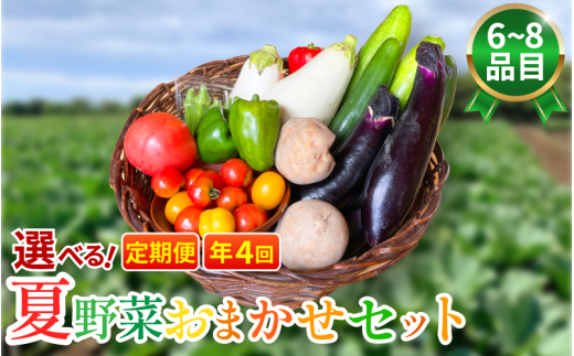 野菜 夏野菜 セット 6~8品目 3人~4人用 定期便 年4回 詰め合わせ 茄子 きゅうり ピーマン トマト ミニトマト 白茄子 オクラ 大葉 枝豆 ズッキーニ ししとう とうもろこし パプリカ じゃがいも たまねぎ にんじん サラダ カレー 野菜炒め 森商店 徳島県 吉野川市