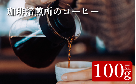 コーヒー 豆 100g スペシャリティコーヒー 珈琲 ブレンド 簡単 手軽 自家焙煎 個包装 ギフト プレゼント  香り 高級 人気 おしゃれ 本格 自宅用 旅行用 職場用 お試しセット コーヒー豆 ドリップコーヒー ハンドドリップ マイルド 苦味 コク すっきり 後味 徳島県 吉野川市