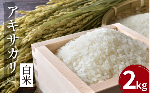 【先行予約】令和7年産 米 白米 2kg ( 2kg × 1袋 ) アキサカリ 令和7年度産 新米 1袋2kg 小分け お米 こめ 白米 精米 ごはん ご飯 白飯 ゴハン コメ 吉野川 徳島県 吉野川市
