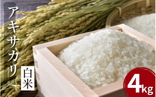 【先行予約】令和7年産 米 白米 4kg ( 2kg × 2袋 )アキサカリ 令和7年度産 新米 1袋2kg 小分け お米 こめ 白米 精米 ごはん ご飯 白飯 ゴハン コメ 吉野川 徳島県 吉野川市