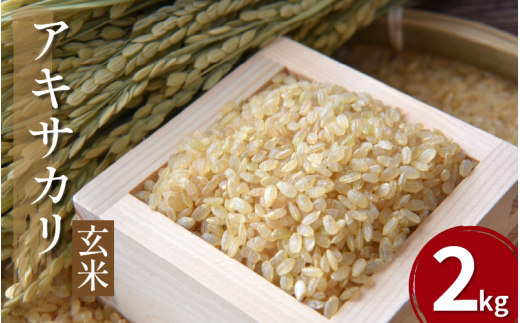 【先行予約】令和7年産 米 玄米 2kg ( 2kg × 1袋 ) アキサカリ 令和7年度産 新米 1袋2kg 小分け お米 精米 健康 こめ ごはん ご飯 白飯 ゴハン コメ 吉野川 徳島県 吉野川市