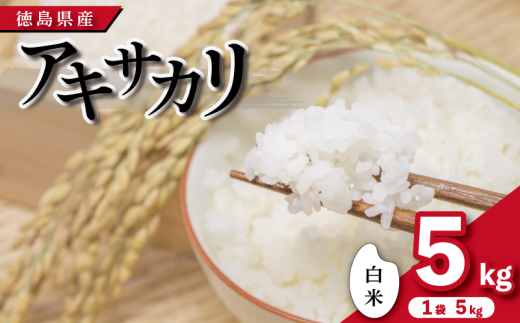 【先行予約】令和7年産 米 白米 5kg ( 5kg × 1袋 )アキサカリ 令和7年度産 1袋5kg 小分け  お米 こめ コメ 白米 精米 ごはん ご飯 白飯 ゴハン あきさかり おにぎり お弁当 徳島県 吉野川市