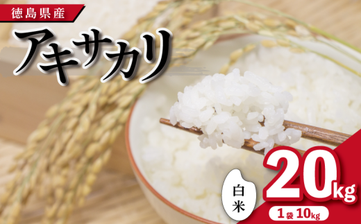 【先行予約】令和7年産 米 白米 20kg ( 10kg × 2袋 ) アキサカリ 令和7年度産 お米 こめ コメ 白米 精米 ごはん ご飯 白飯 ゴハン あきさかり おにぎり お弁当 徳島県 吉野川市