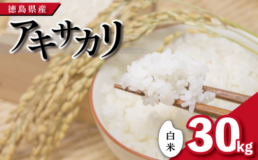 【先行予約】令和7年産 米 白米 30kg アキサカリ 令和7年度産 お米 こめ コメ 白米 精米 ごはん ご飯 白飯 ゴハン あきさかり おにぎり お弁当 徳島県 吉野川市