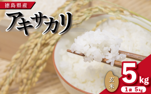 【先行予約】令和7年産 米 玄米 5kg ( 5kg × 1袋 )アキサカリ 令和7年度産 1袋5kg 小分け  お米 こめ コメ ごはん ご飯 白飯 ゴハン あきさかり おにぎり お弁当 健康 栄養 徳島県 吉野川市