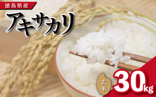 【先行予約】令和7年産 米 玄米 30kg アキサカリ 令和7年度産 お米 こめ コメ ごはん ご飯 白飯 ゴハン あきさかり おにぎり お弁当 健康 栄養 徳島県 吉野川市