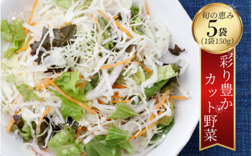 サラダ カット済 野菜 詰め合わせ 750g ( 150g 5袋 ) お手軽 栽培期間中 農薬不使用 有機JAS認証 露地栽培 有機野菜 サラダ 家族 カレー 野菜炒め ほうれん草 白ネギ 水菜 ルッコラ リーフレタス サニーレタス レタス 赤からし菜 からし菜 セロリ 人参 ネギ さくらファーム 徳島県 吉野川市