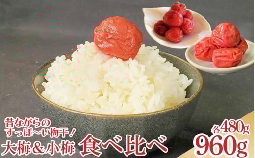 天野農園の梅干 大梅 小梅 セット 箱入り 各480g [ 2025年10月中旬 〜 順次出荷 ] 国産 梅 うめぼし 昔ながらの しょっぱい 梅干し ご飯のお供 常温 ギフト 贈答 送料無料 徳島県 吉野川市