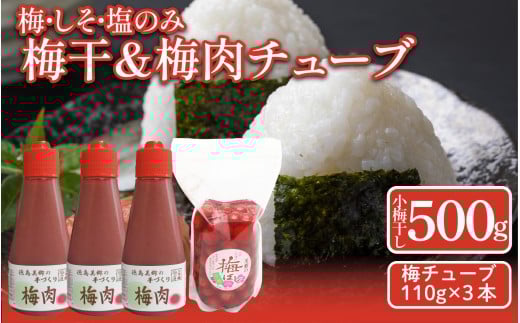 先行予約 梅干 昔ながらの しそ漬け 小梅干し 500g 1袋 梅肉チューブ 110g 3本 詰め合わせ 小梅干 梅肉 [ 2025年11月から順次発送予定] 吉野川市 美郷産 梅 うめぼし 便利 安心 手作り 天日干し 梅干 おにぎり 料理 ご飯のお供 常温 ギフト 贈答 送料無料 徳島県 吉野川市 美郷梅工房