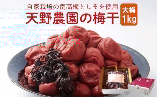 [ 先行予約 ] 天野農園の梅干1kg(大梅) [ 2025年10月中旬 〜 順次出荷 ]