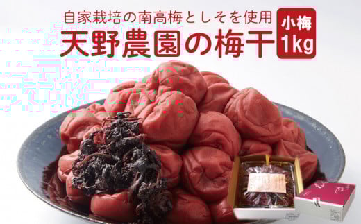 [ 先行予約 ] 天野農園の梅干1kg(小梅) [ 2025年10月中旬 〜 順次出荷 ]