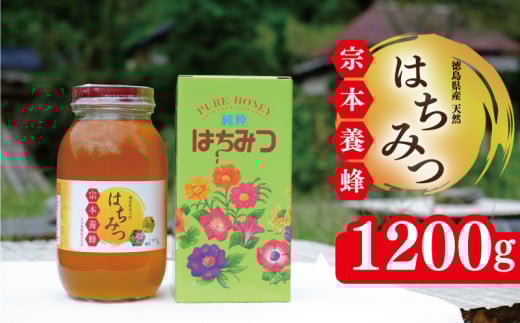 はちみつ 国産 1200g 天然 蜂蜜 純粋 蜂蜜ギフト 健康食品 美容 食品 無添加 栄養豊富 生はちみつ ハチミツ ギフト 贈答 人気 はちみつ お取り寄せ グルメ ヨーグルト パン スイーツ 徳島県 吉野川市