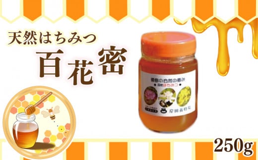 はちみつ 百花蜜 250g 天然はちみつ 蜂蜜 健康食品 美容 食品 栄養豊富 ギフト 贈答 人気 はちみつ お取り寄せ グルメ ヨーグルト パン スイーツ 徳島県 吉野川市
