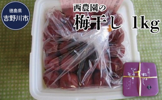 梅干し 1kg 南高梅 うめぼし 梅干 大粒 梅 うめ ギフト プレゼント 贈答 西農園 徳島県 吉野川市