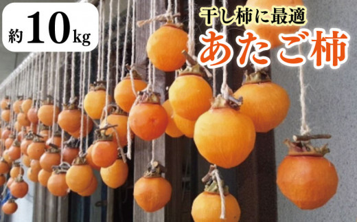 柿 10kg 干し柿 家庭用 あたご柿 レシピ付き 先行予約 2025年11月上旬~発送予定 果物 フルーツ デザート ケーキ ゼリー ジュース アイス ジャム 甘い カキ お菓子 旬 干柿 ほしがき お取り寄せ 徳島県 吉野川市