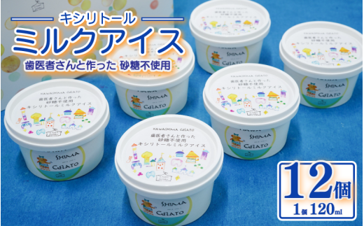 アイス キシリトール ミルクアイス 12個 120ml 砂糖不使用 虫歯予防 アイスクリーム 乳化安定剤不使用 吉野葛 天然素材 健康習慣 予防歯科 スイーツ 牛乳 ミルク ジェラート おやつ ご褒美 子供 家族 徳島県 吉野川市