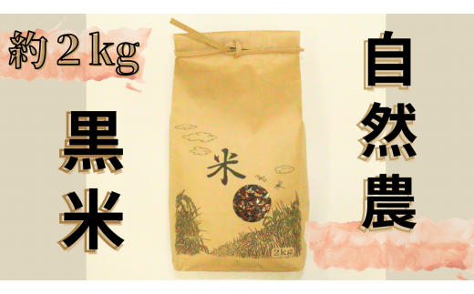 自然農黒米（約2kg入り）