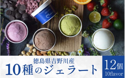 アイス アイスクリーム 12個 スイーツ ピスタチオ ミルク 和三盆 チョコレート ナッツ いちご デザート ジェラート 詰合せ 洋菓子 お菓子 ギフト プレゼント 贈答 送料無料 吉野川市 徳島県