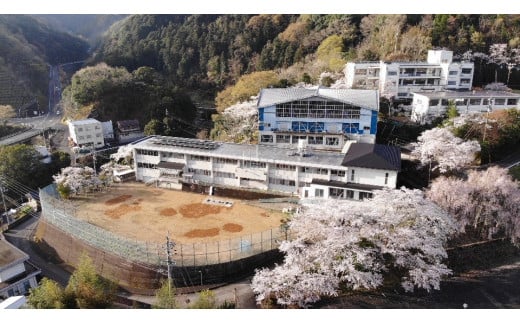 中山間地域交流拠点施設　たねのや　宿泊券　（１泊・大人２名・夕食BBQ・朝食付き）　ペア宿泊券 リノベーション 宿泊 BBQ 朝食 吉野川市美郷