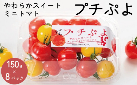 トマト ミニトマト 1.2kg (150g×8) プチぷよ 2025年 11月~発送予定 スイートミニトマト 野菜 やさい 新鮮 果物 スイーツ ジュース トマトジュース パスタ スパゲッティ ソース サラダ ドレッシング サンドイッチ ハンバーガー ピザ カレー プチトマト 送料無料 四電工 徳島県 吉野川市