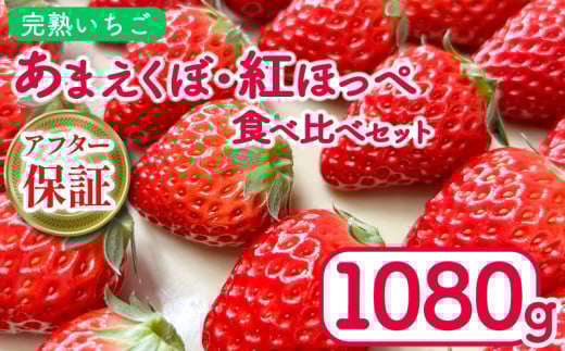 いちご 1080g 紅ほっぺ あまえくぼ 食べ比べ セット ( 2026年 1月 発送開始 )  4パック 朝採れ 期間限定 人気 果物 フルーツ 新鮮 旬 冬 春 ケーキ ショートケーキ デザート ギフト 贈り物 贈答 イチゴ 苺 ストロベリー 徳島県 吉野川市 あんいちご園