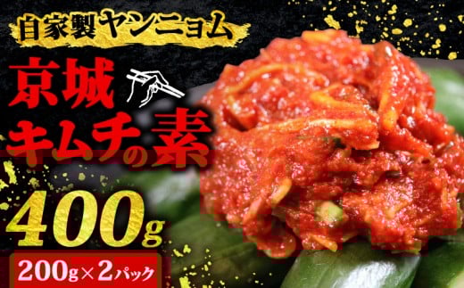 ヤンニョム キムチの素 200g 2パック セット 小分け 個包装 自家製 手作り 米 ごはん おつまみ おかず 鍋 調理 夕飯 人気 おすすめ お手軽 便利 焼き肉 焼肉 BBQ 冬 三重県 伊勢志摩 伊勢 志摩 しま いせ 5000円 5千円 五千円 5000円以下 5千円以下 五千円以下