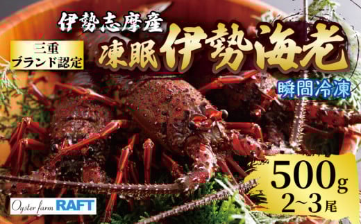 伊勢海老 500g 2尾 〜 3尾 冷凍 / 伊勢志摩 伊勢 志摩 三重 伊勢えび 伊勢エビ 新鮮 えび エビ 三重ブランド認定 高級食材 贈答 贈答品 お歳暮 お正月 年末年始 お造り 海鮮 魚介類 旨味 鮮魚 名産 ギフト いせ しま BBQ パーティー 焼き物 お味噌汁 鍋 ボイル 三万円 3万円 30000円