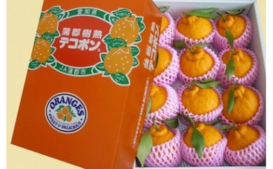 【G0004】【期間限定】蒲郡樹熟デコポン 約3kg