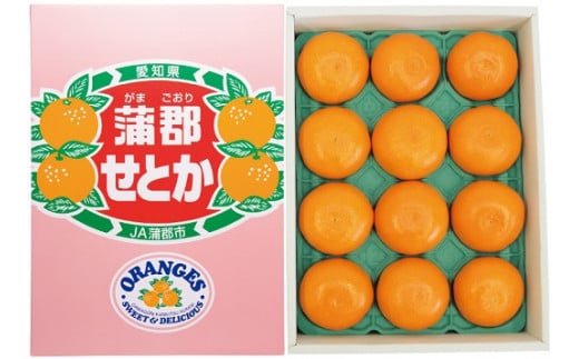 【G0003】【期間限定】蒲郡みかん「せとか」約3kg