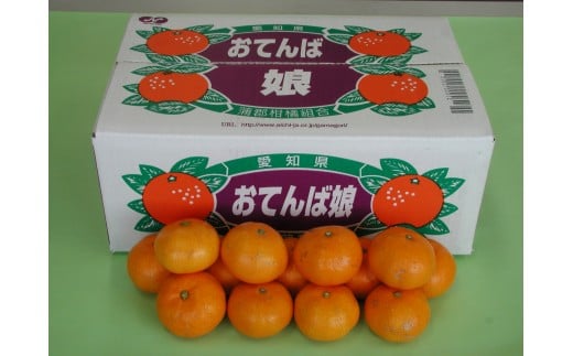 【G0190】【期間限定】蒲郡みかん「おてんば娘」約5kg