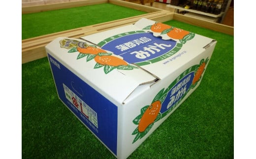 [期間限定]蒲郡みかん「青島みかん」約5kg