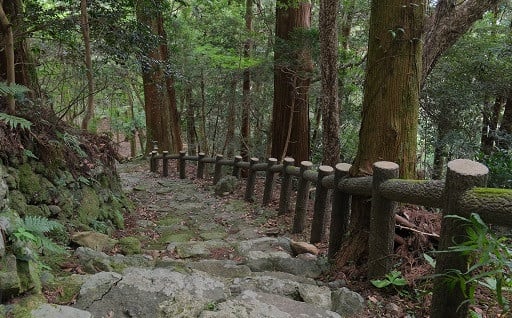 道路整備・景観づくり等への活用