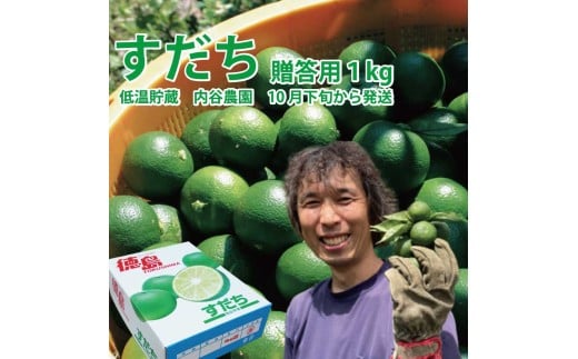 内谷農園 低温貯蔵すだち 贈答用 1kg