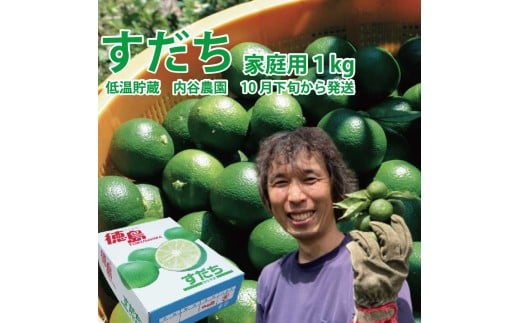 内谷農園 低温貯蔵すだち 家庭用 1kg