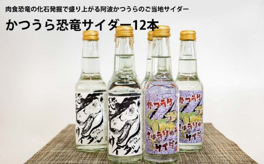 かつうら恐竜サイダー 12本