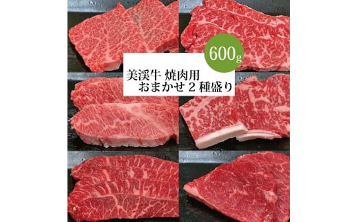 美渓牛 焼肉 おまかせ2種 600g