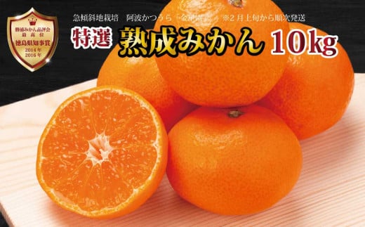 金星園 特選 熟成みかん 秀品 S-LLサイズ 10kg