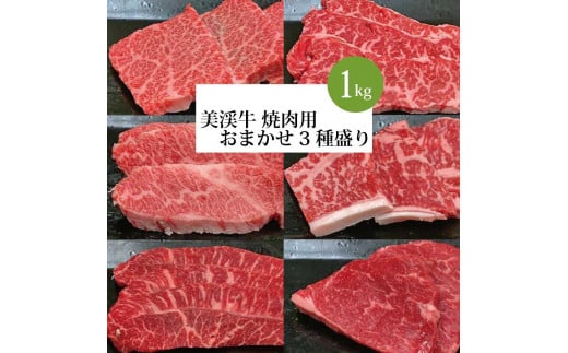 美渓牛 焼肉 おまかせ3種 1kg