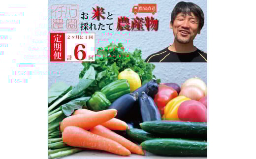 【定期便6回/2か月毎】市原農園 お米と農産物