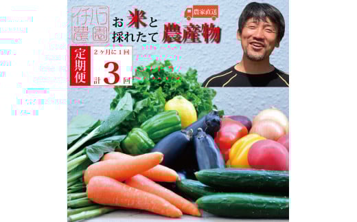 【定期便3回/2か月毎】市原農園 お米と農産物