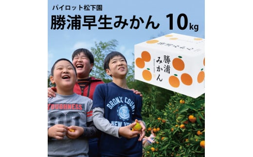 パイロット松下園 勝浦早生みかん SーLサイズ 秀品 10kg
