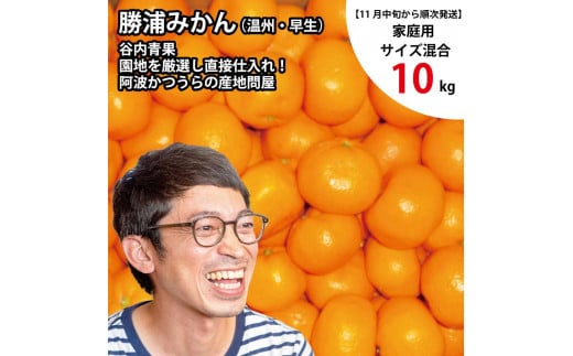 谷内青果 早生みかん 家庭用 サイズ混合 10kg