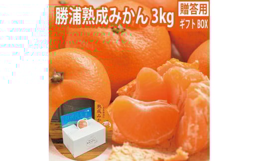谷内青果 贈答用 熟成みかん 秀品 S-Mサイズ 3kg